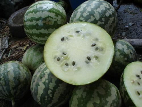 减肥可以吃绿宝瓜嘛,减肥期间的理想美食选择