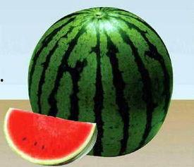 吃瓜不解暑,夏日清凉解暑攻略