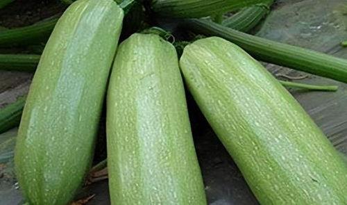 揽月吃瓜,揭秘太空探索中的趣味瞬间