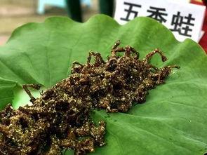 吃红岩瓜的视频,视频带你一探究竟