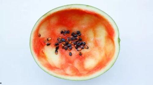 中式勺子吃瓜,夏日清凉新体验