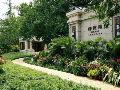 武汉橡树湾吃瓜,一场别开生面的“吃瓜”盛宴