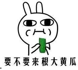 吃瓜不怕危险吗,揭秘吃瓜群众的勇气与智慧