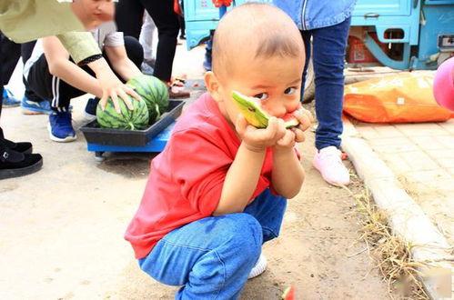 吃瓜山东夫妻,揭秘民间美食背后的故事