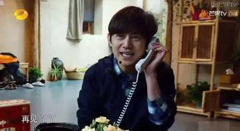 胡老师娜娜吃瓜,揭秘娱乐圈背后的瓜田秘事