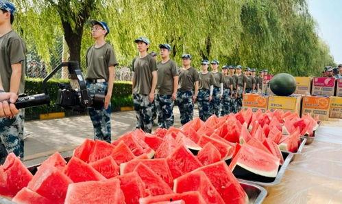 空姐学院吃瓜,揭秘校园里的美食风云