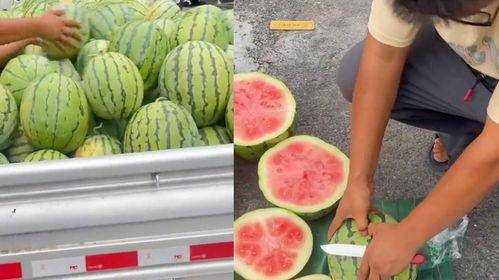 瓜不熟怎么吃,解锁夏日美味新境界