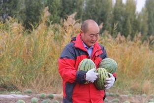 吃瓜小探长,揭秘娱乐圈背后的秘密与真相