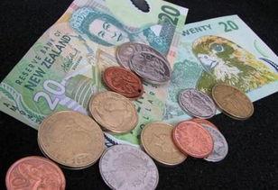 新西兰留学吃瓜,探索美食世界的留学体验