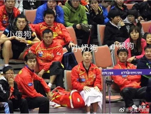 吃瓜国乒,揭秘乒乓球界的风云变幻与精彩瞬间