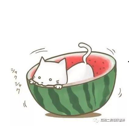 QQ吃瓜头像,揭秘网络社交中的趣味与争议