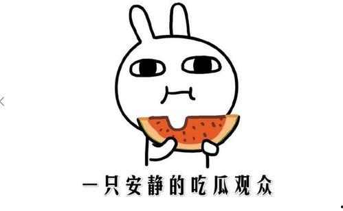 吃瓜都有什么含义,揭秘网络热点的多重含义与影响