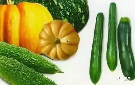 夏日吃瓜段位,解锁吃瓜达人段位升级秘籍