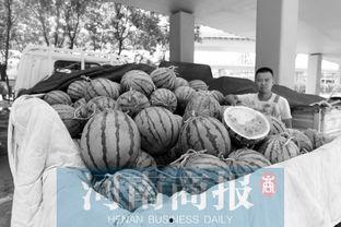 郑州中牟吃瓜