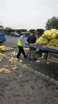 吃瓜群众的瓜车,揭秘吃瓜群众的瓜车传奇