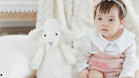 小西瓜吃瓜日常,小西瓜的甜蜜瓜果时光