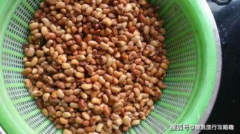 日照山体吃瓜,瓜果飘香，生态宜居的绿色画卷