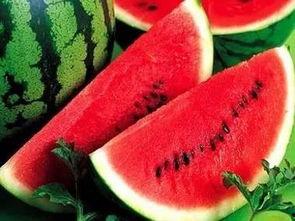 河北6人吃瓜,一场意外的“瓜田”风波