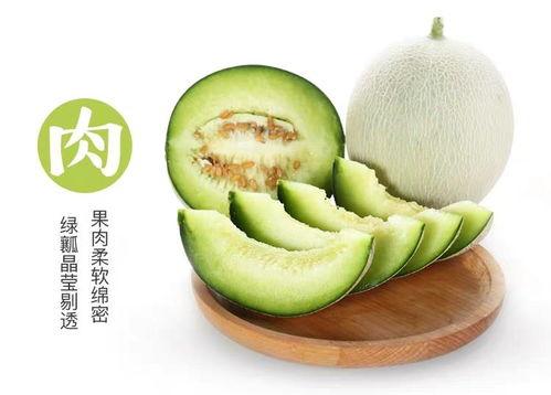 网纹瓜何时吃,网纹瓜的最佳食用时机揭秘
