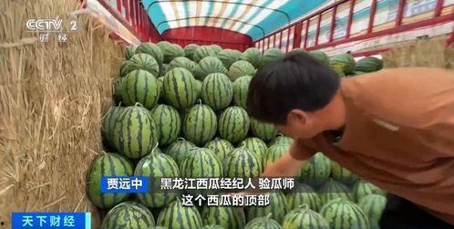 吃瓜猫儿,揭秘娱乐圈的幕后故事