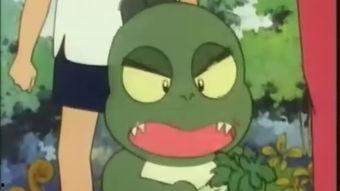 龙公子吃瓜,揭秘娱乐圈幕后风云